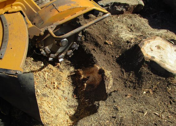 Stump Removal