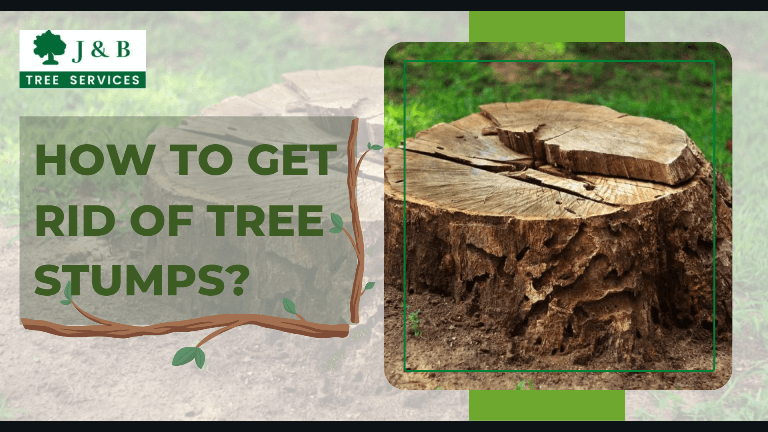 How to Get Rid of Tree Stumps? J&B Tree Services