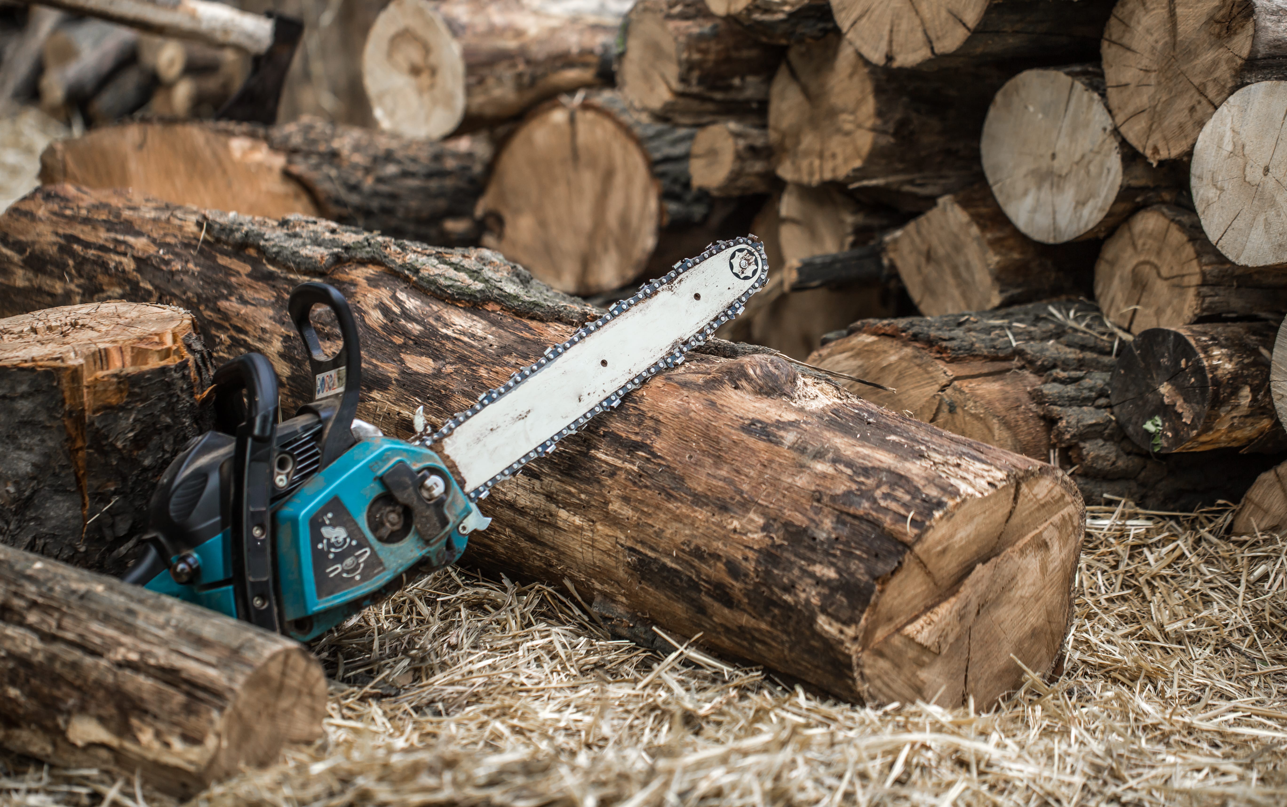 Tree Removal